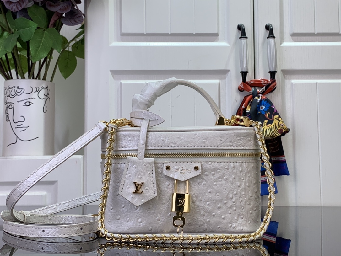 LV Vanity Chain Pouch N85820 Cream Handbag