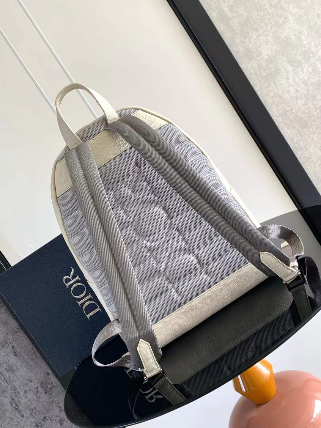Christian Dior Luxury Designer Backpacks for Men