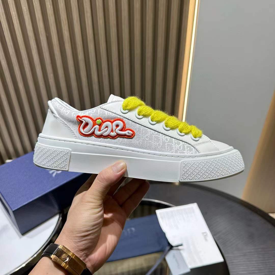 Christian Dior And Kaws B33 Spin Sneaker