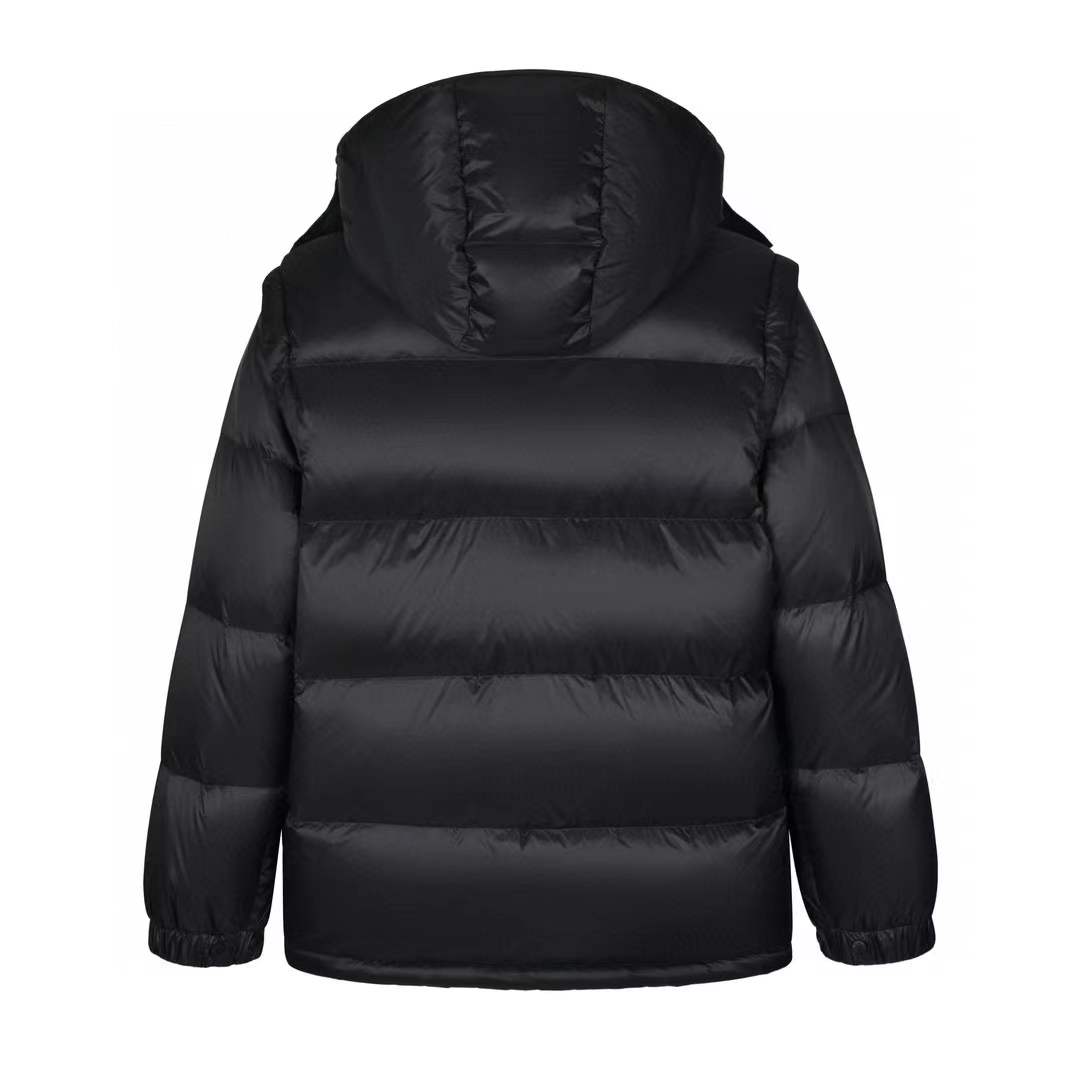 Moncler Luxury brands Cyclone down jacket black