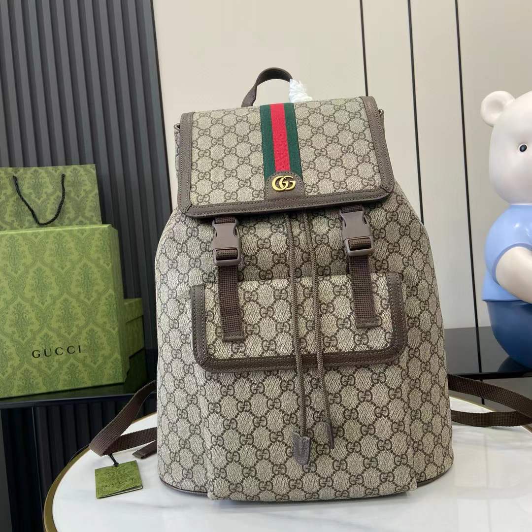 Gucci Ophidia Small Backpack bag