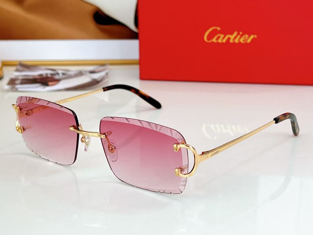 Cartier transparent square sunglasses All Colors