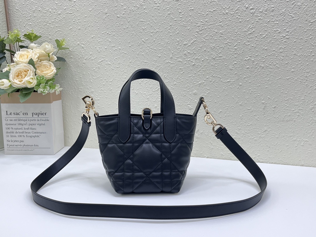 Christian Dior Toujours Vertical Nano Tote Bag