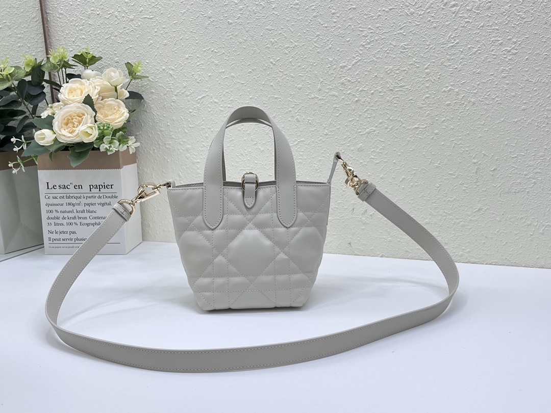 Christian Dior Toujours Vertical Nano Tote Bag
