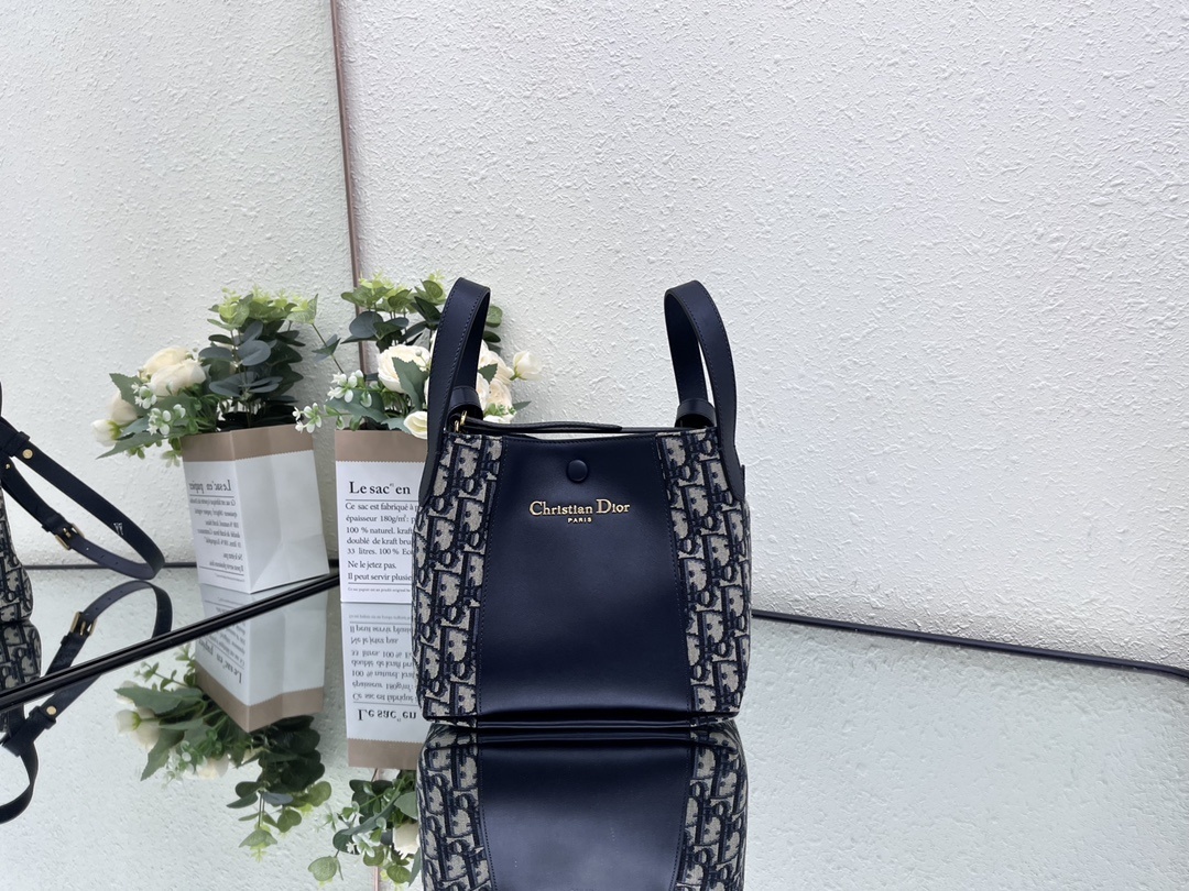 Christian Dior Bag Ladies Luxury