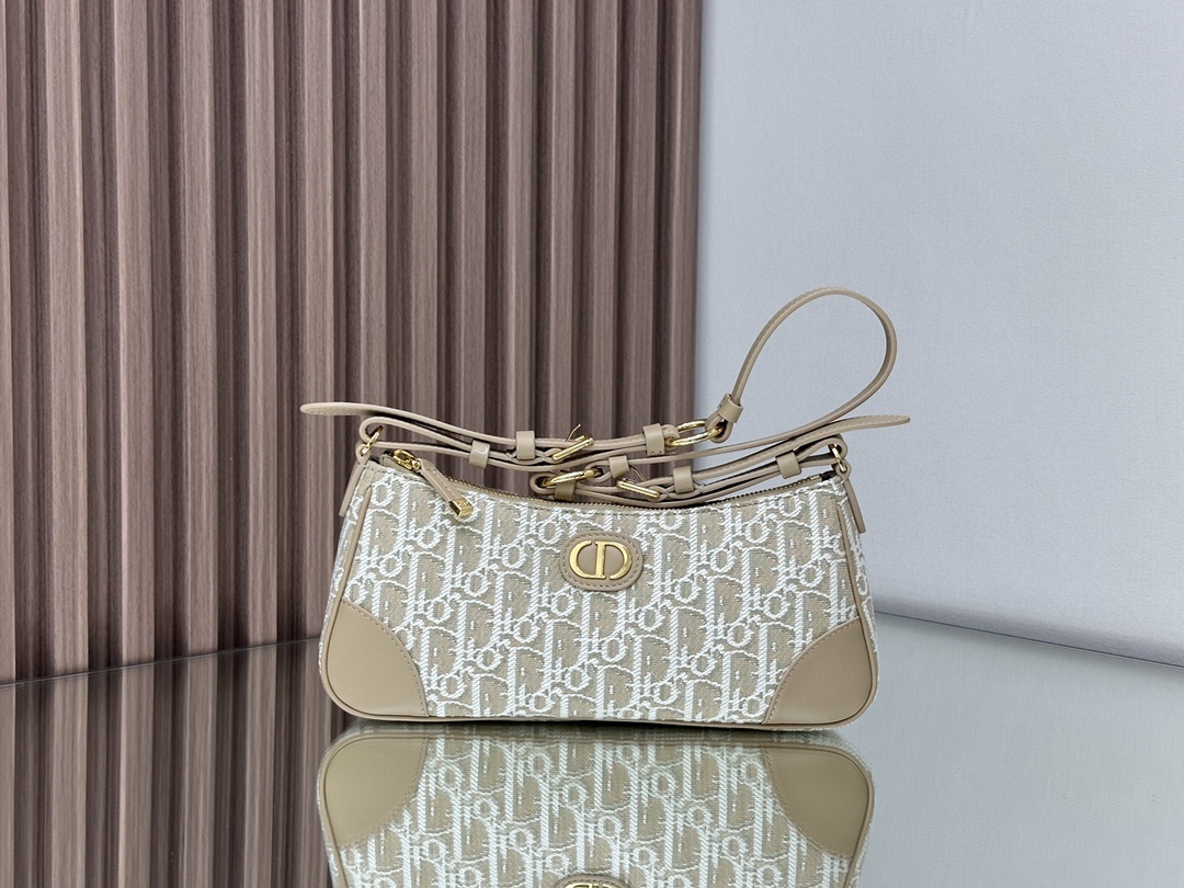 Christian Dior Women's Designer All Small Leather bag