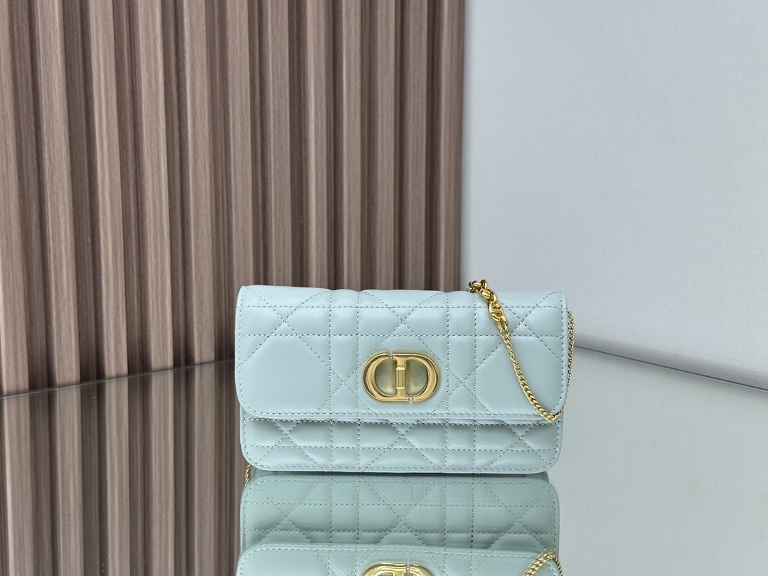 Christian Dior Women's Designer All Small Leather