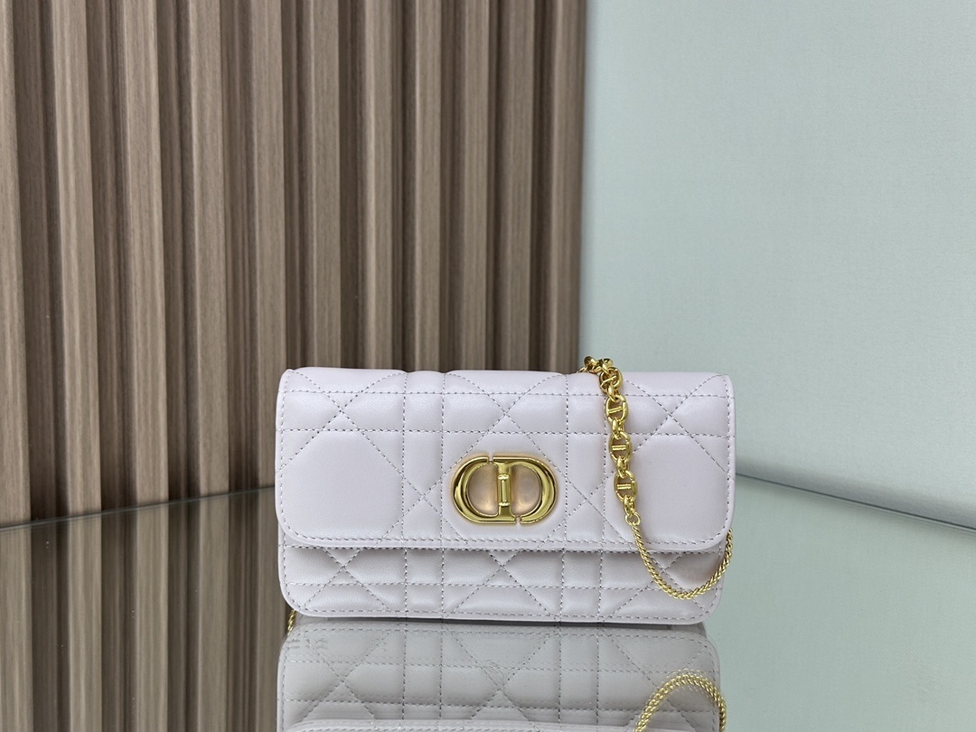 Christian Dior Women's Designer All Small Leather