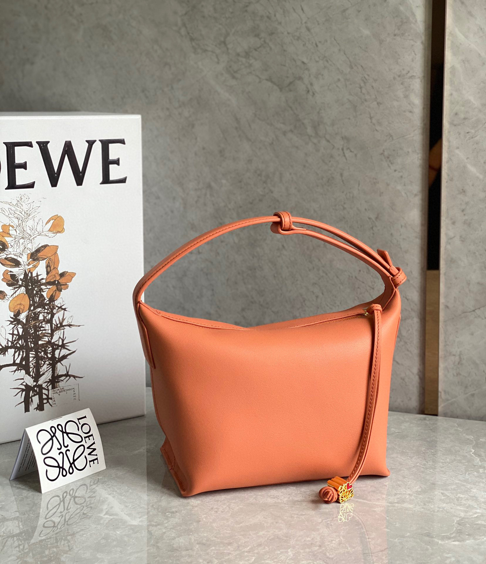 Loewe Tod's Kate Leather Mini Box Bag