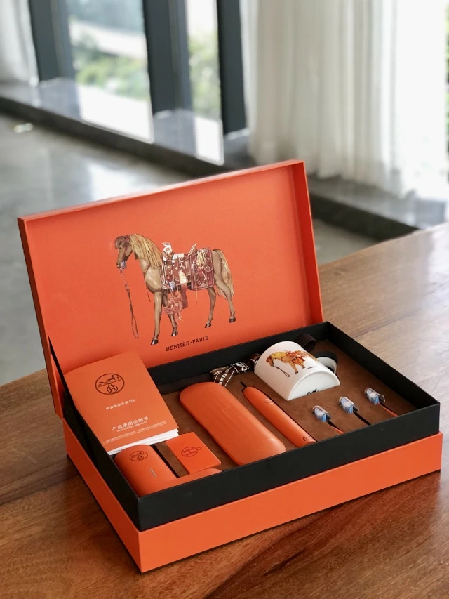 Hermes electric toothbrush set