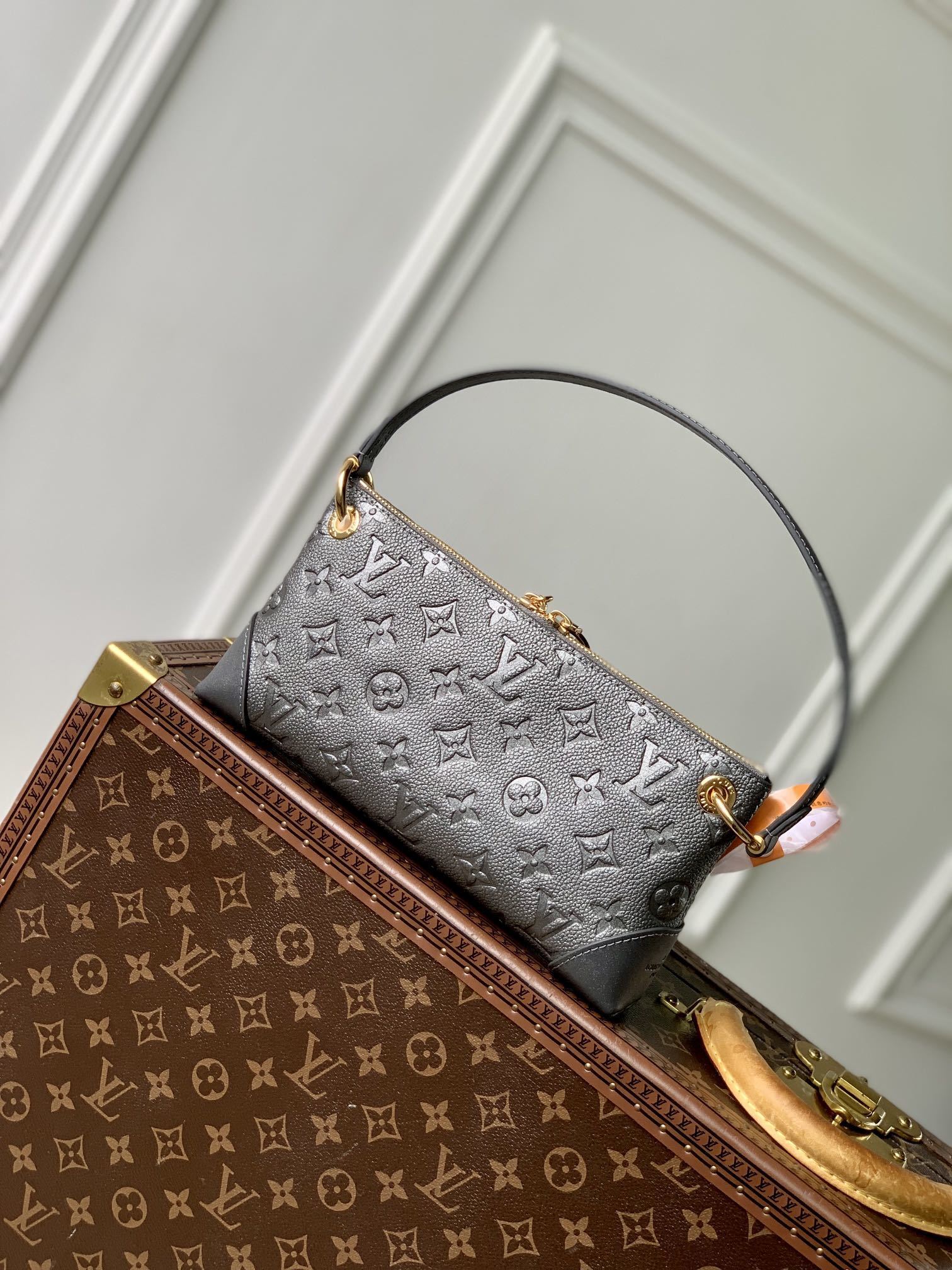 LV  Pochette Sevres bag