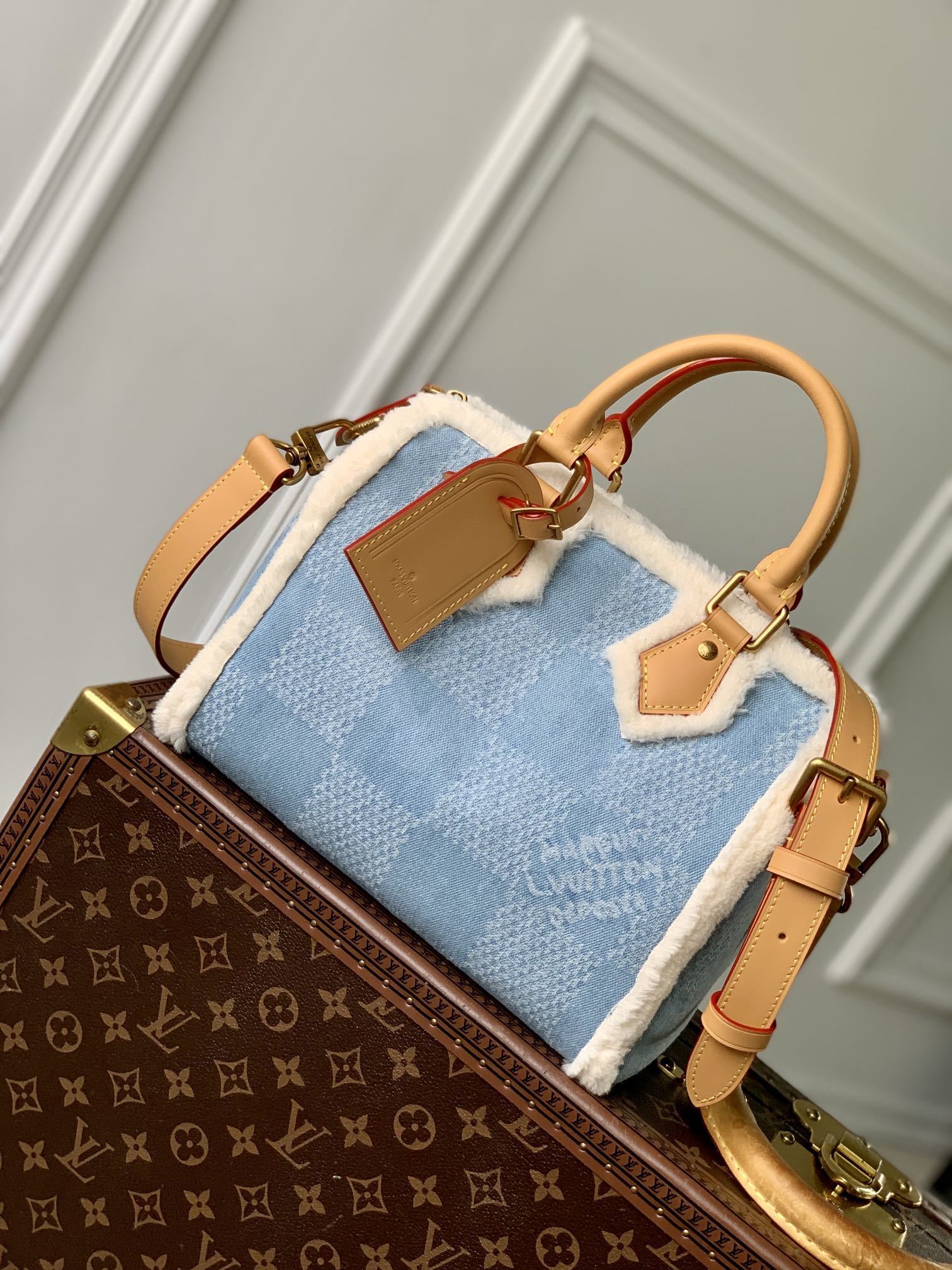 LV Speedy 40 Bandoulière Damier Other