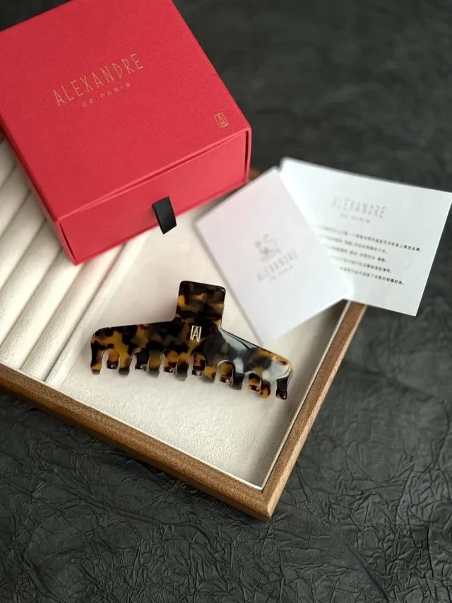 Alexander Wang hairpin