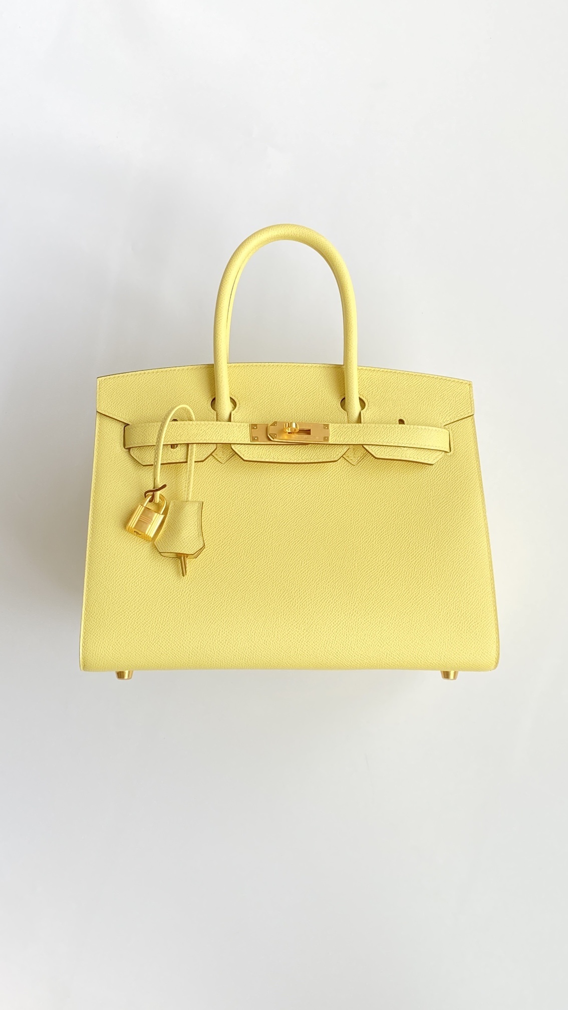 Hermes Birkin Shoulder Bag