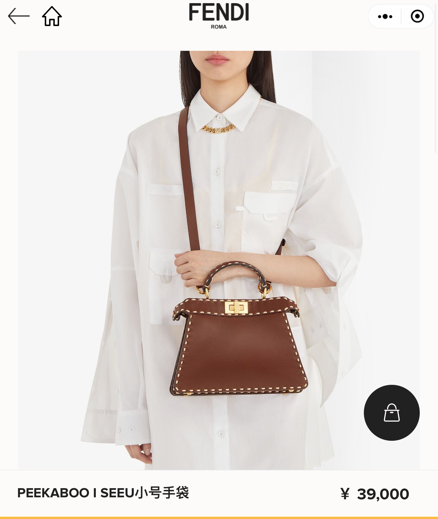 Fendi Peekaboo all colors