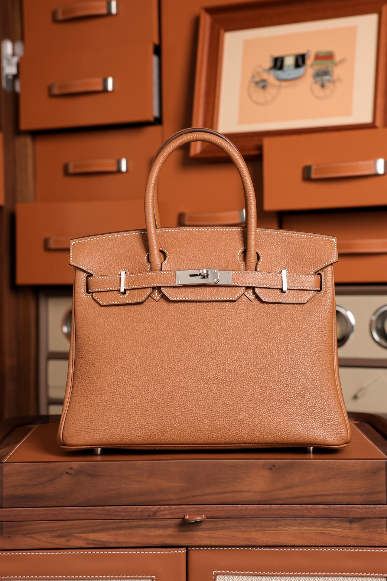 Hermes Birkin 25 Bag