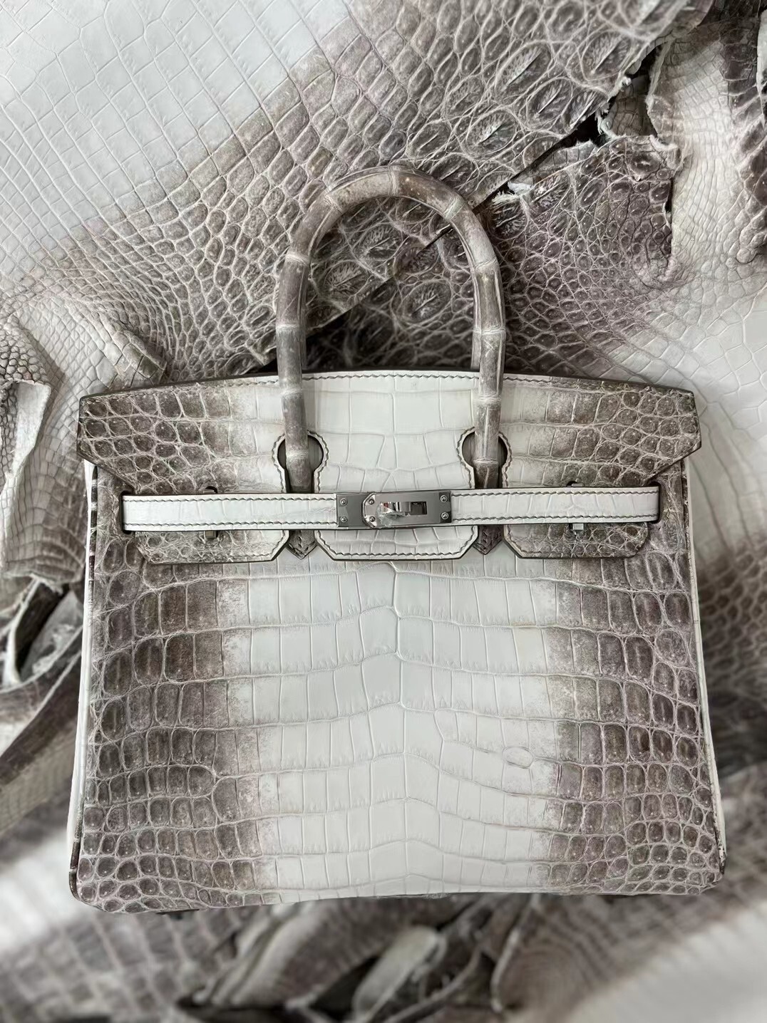 Hermes Birkin Croco leather Bag