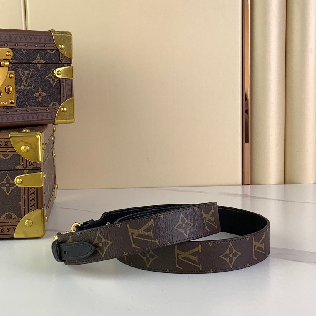 LV Shoulder Straps All Handbag