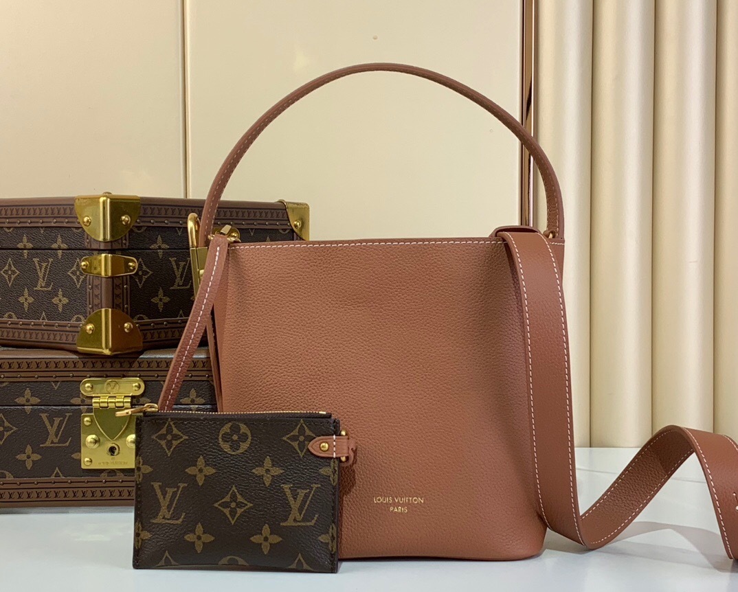 LV Low Key Hobo PM handbag