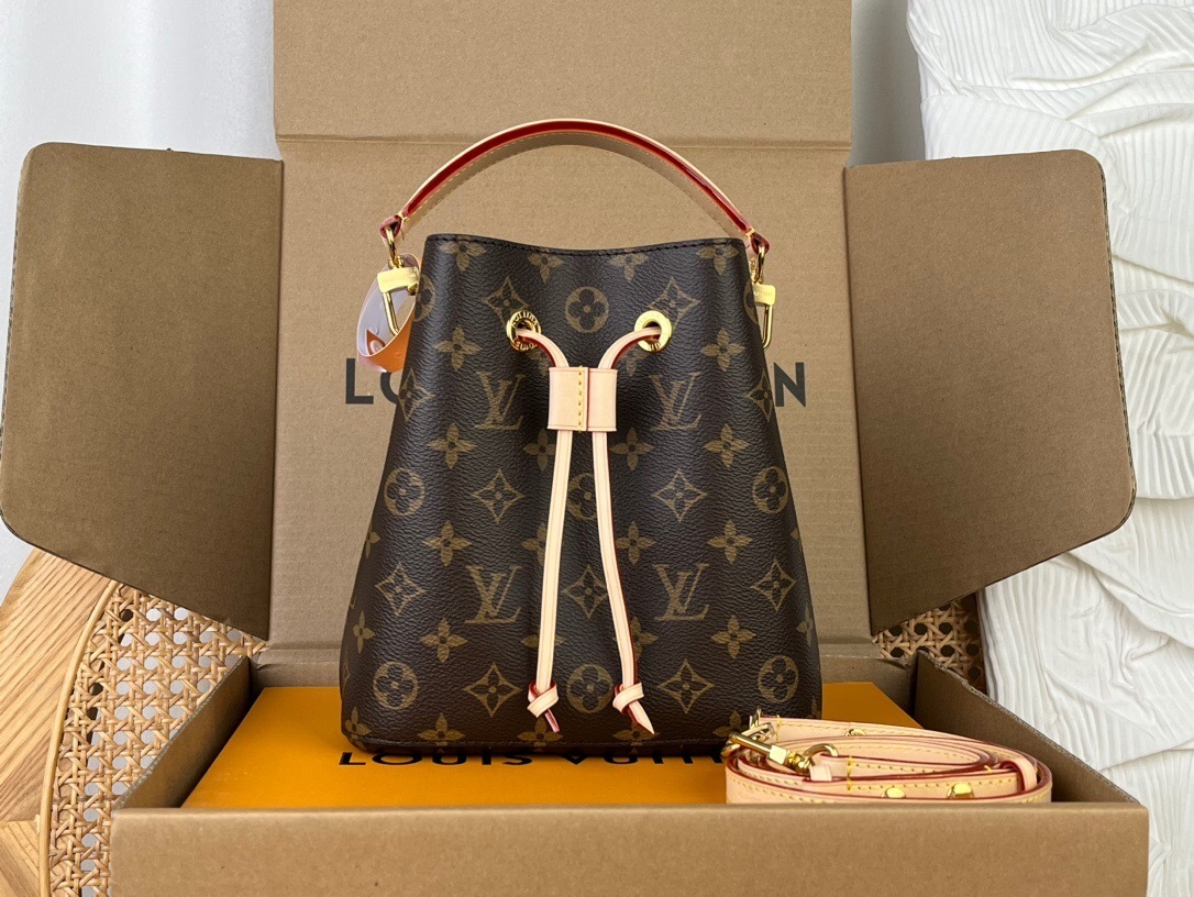 LV NeoNoe BB Monogram bag.