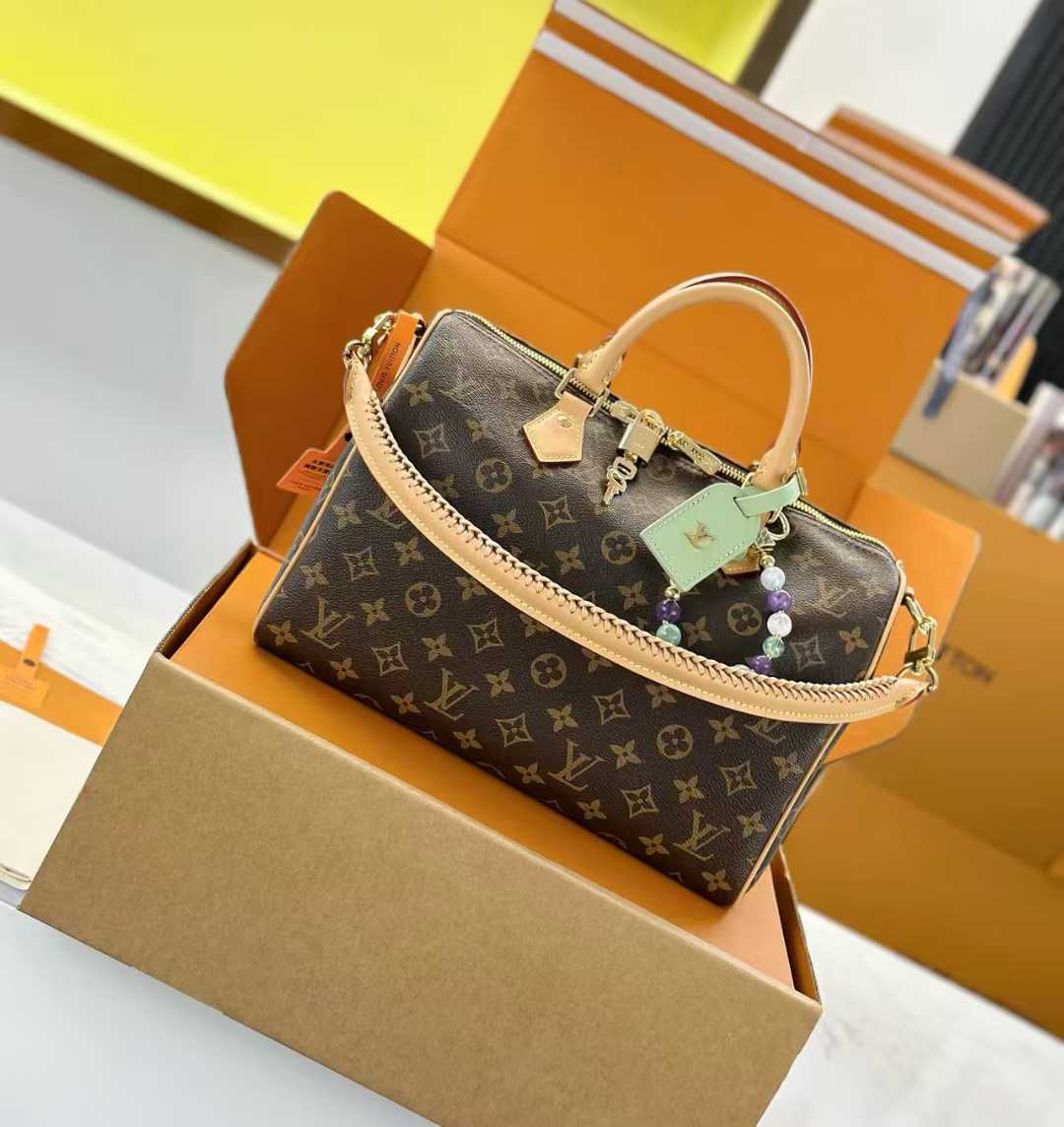 LV Speedy bag in Monogram canvas