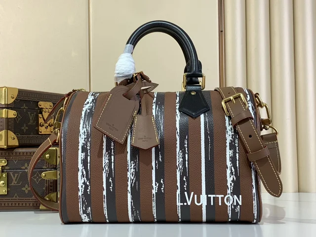 LV SPEEDY BANDOULIÈRE 30 Handbag