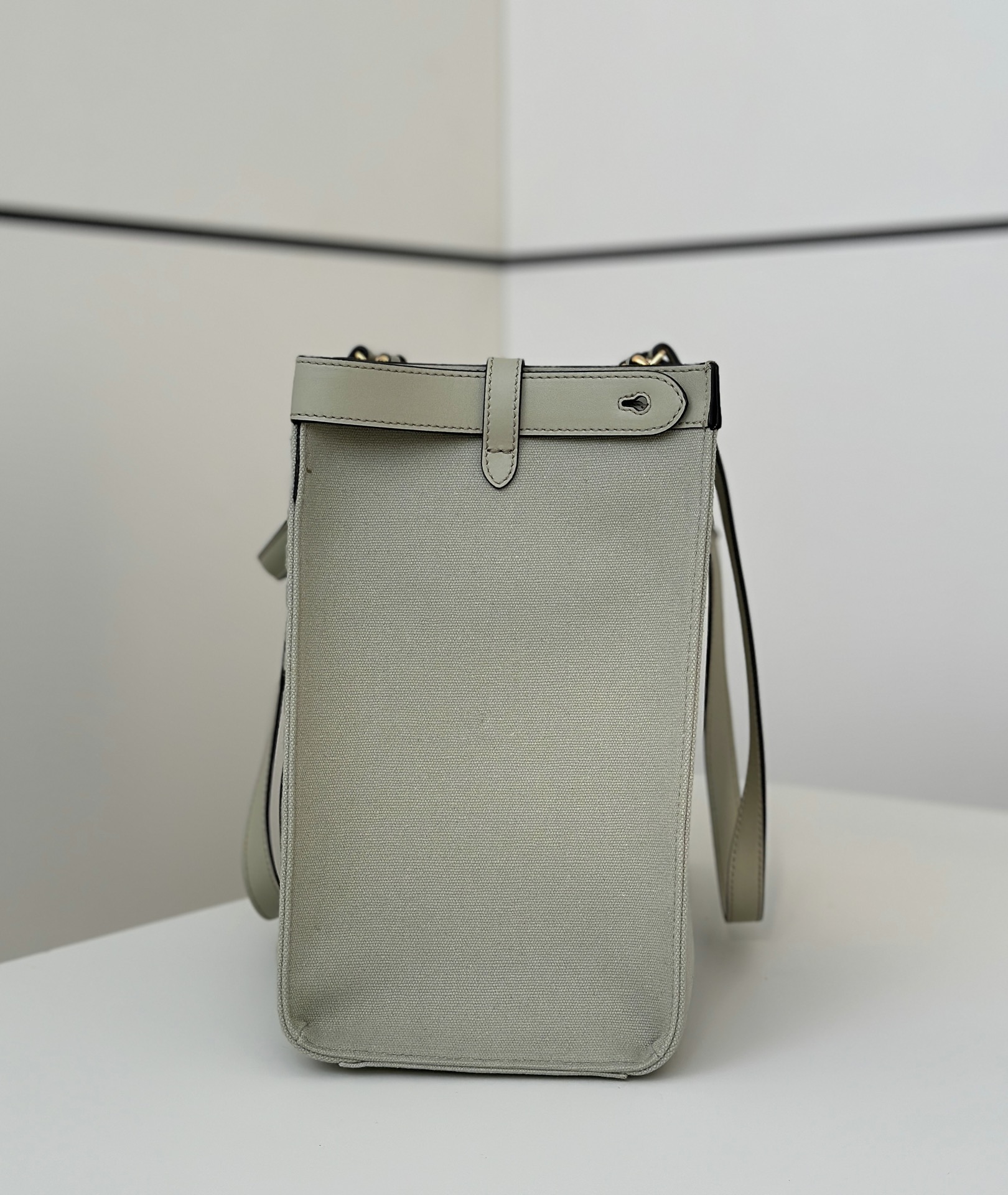 Fendi Peekaboo X-Tote medium bag in green canvas and leather.