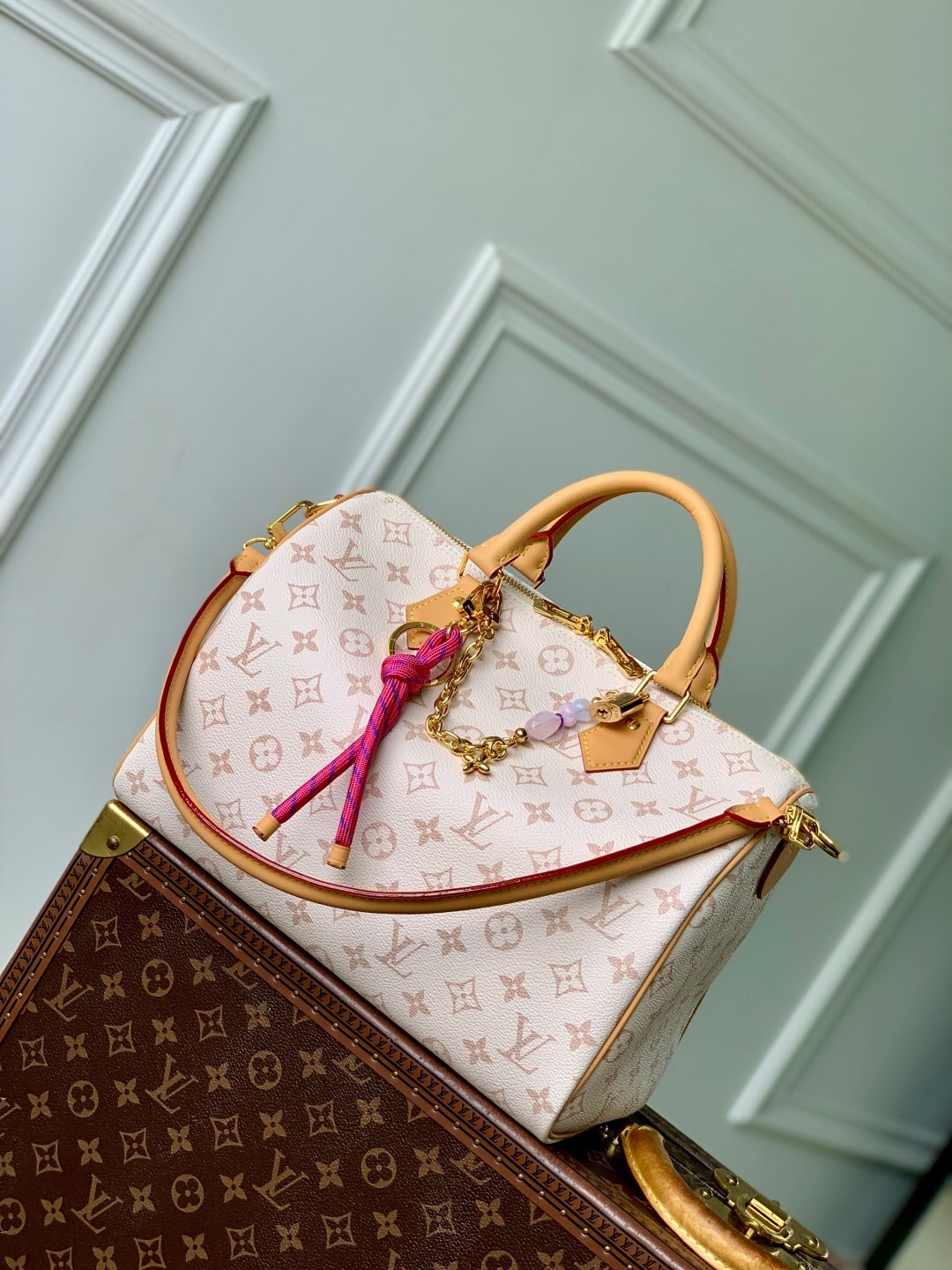 LV Speedy Soft 30 Lucky bag in Monogram Dune canvas with VVN leather trims