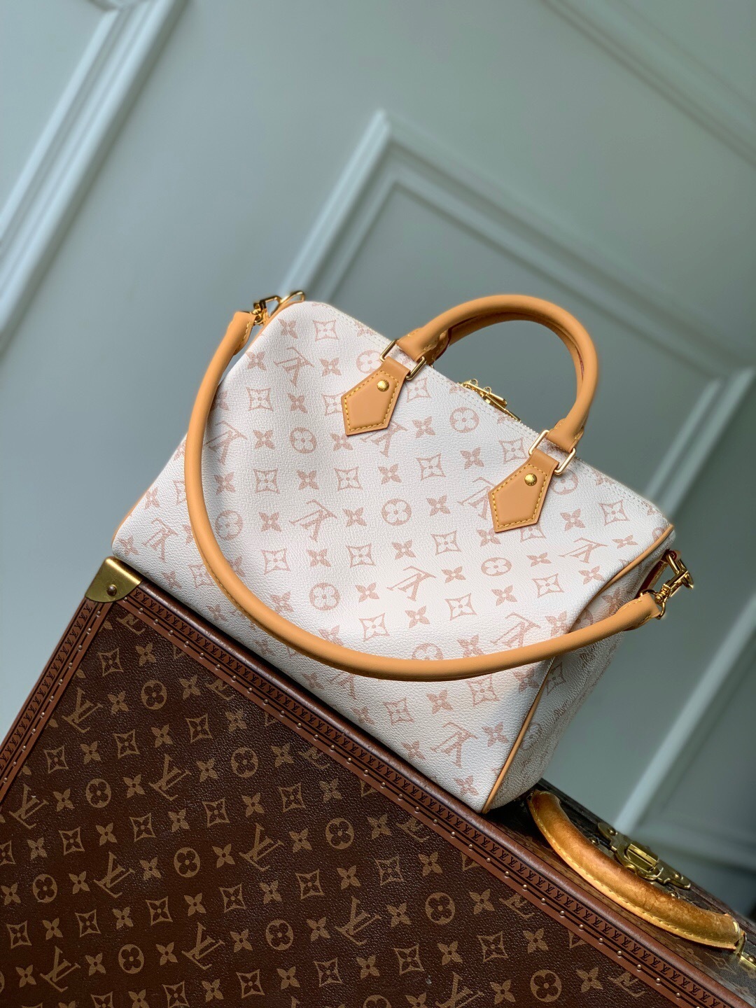 LV Speedy Soft 30 Lucky bag in Monogram Dune canvas with VVN leather trims