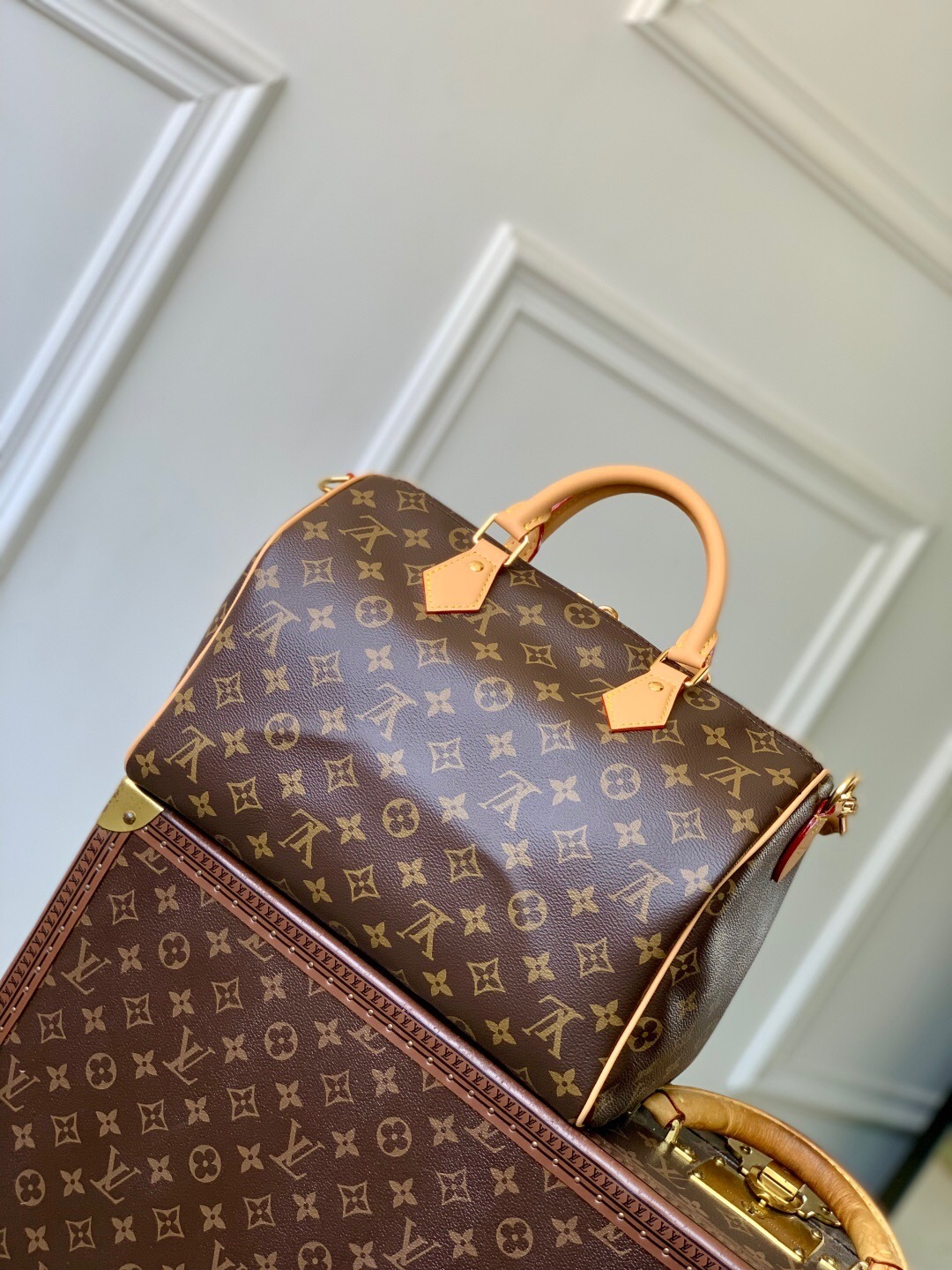 LV Speedy Soft 30 Lucky Monogram Canvas