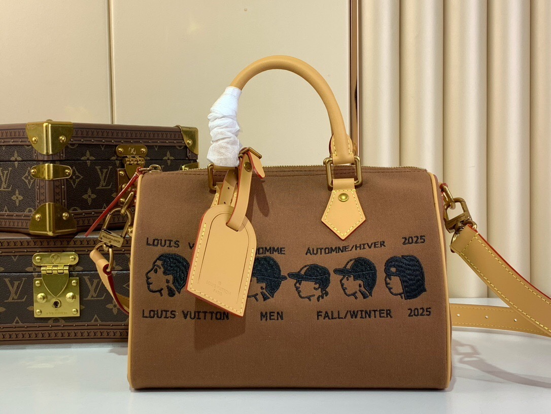 LV Speedy bag Fall/Winter