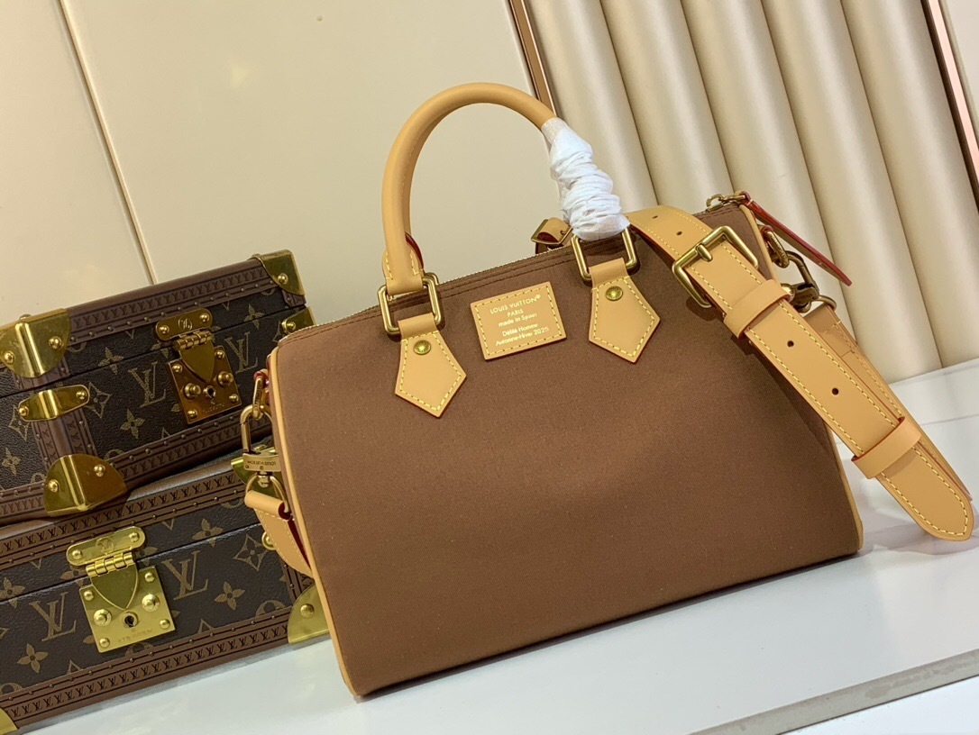 LV Speedy bag Fall/Winter