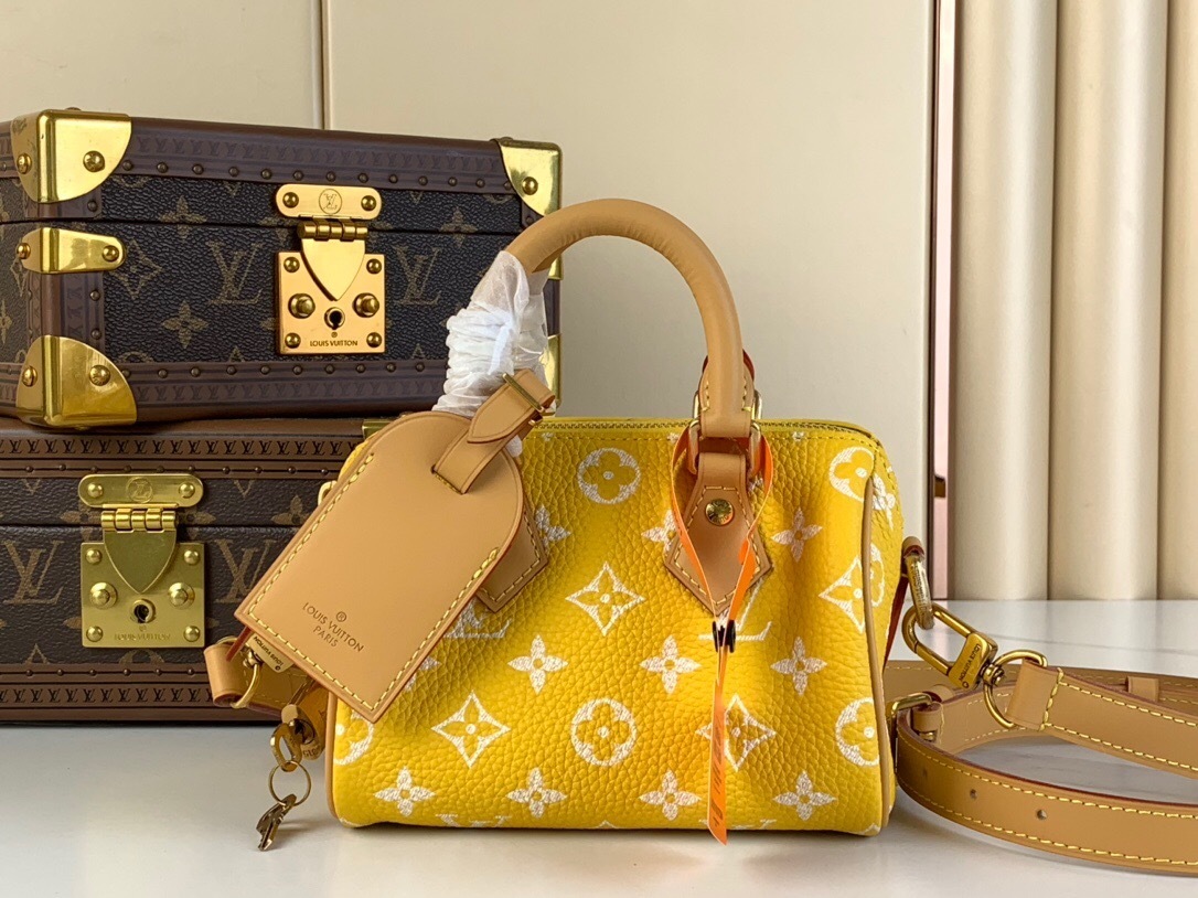 LV Speedy P9 Bandouliere 25 handbag