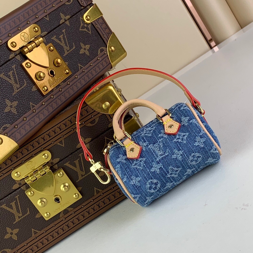 LV Micro Speedy Bag