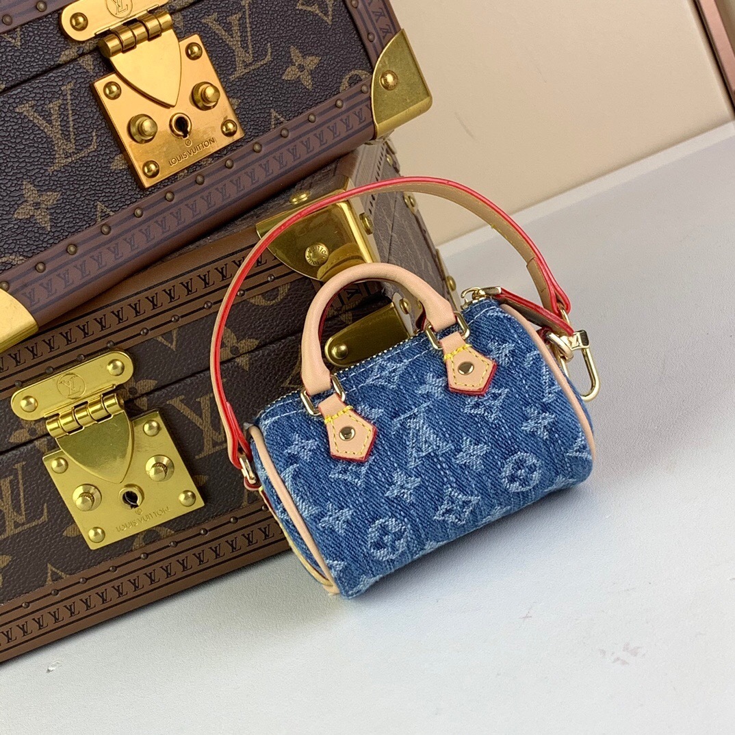 LV Micro Speedy Bag