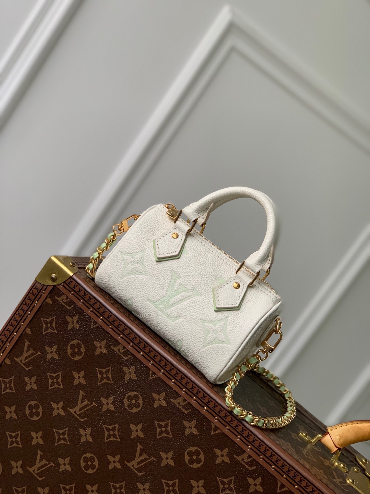 LV Nano Speedy Tote Bag
