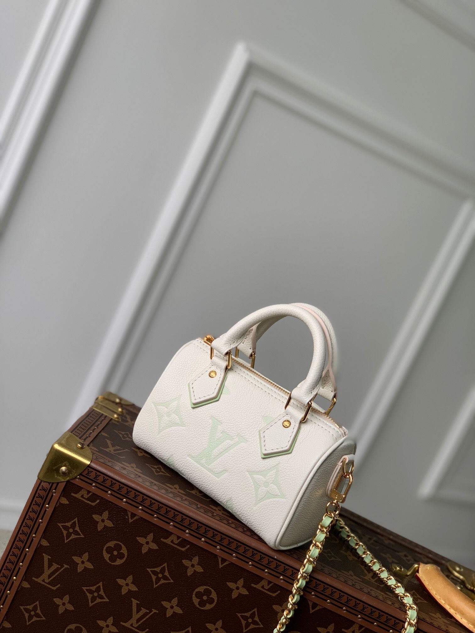 LV Nano Speedy Tote Bag