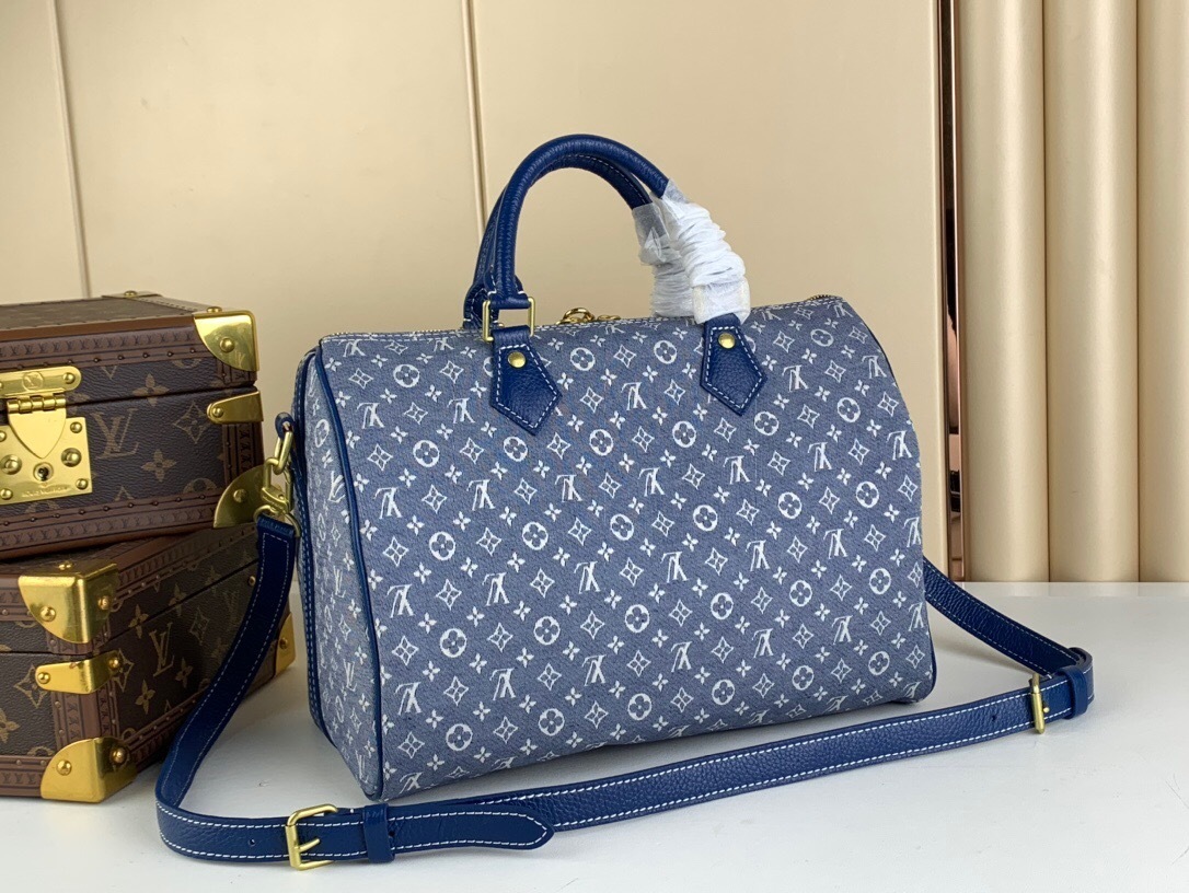 LV Speedy 30 bag in a gray and blue monogram canvas