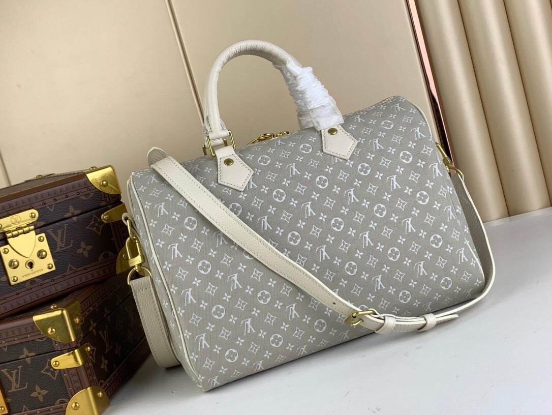 LV Speedy bag in the Mini Lin monogram canvas