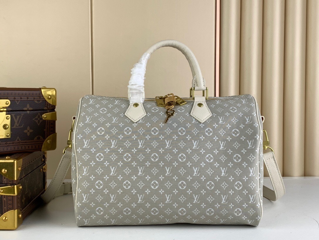 LV Speedy bag in the Mini Lin monogram canvas