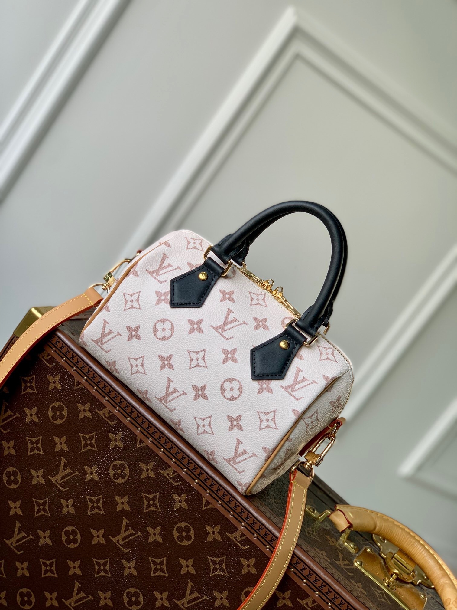 LV Speedy Bandoulière 20 handbag in Monogram canvas