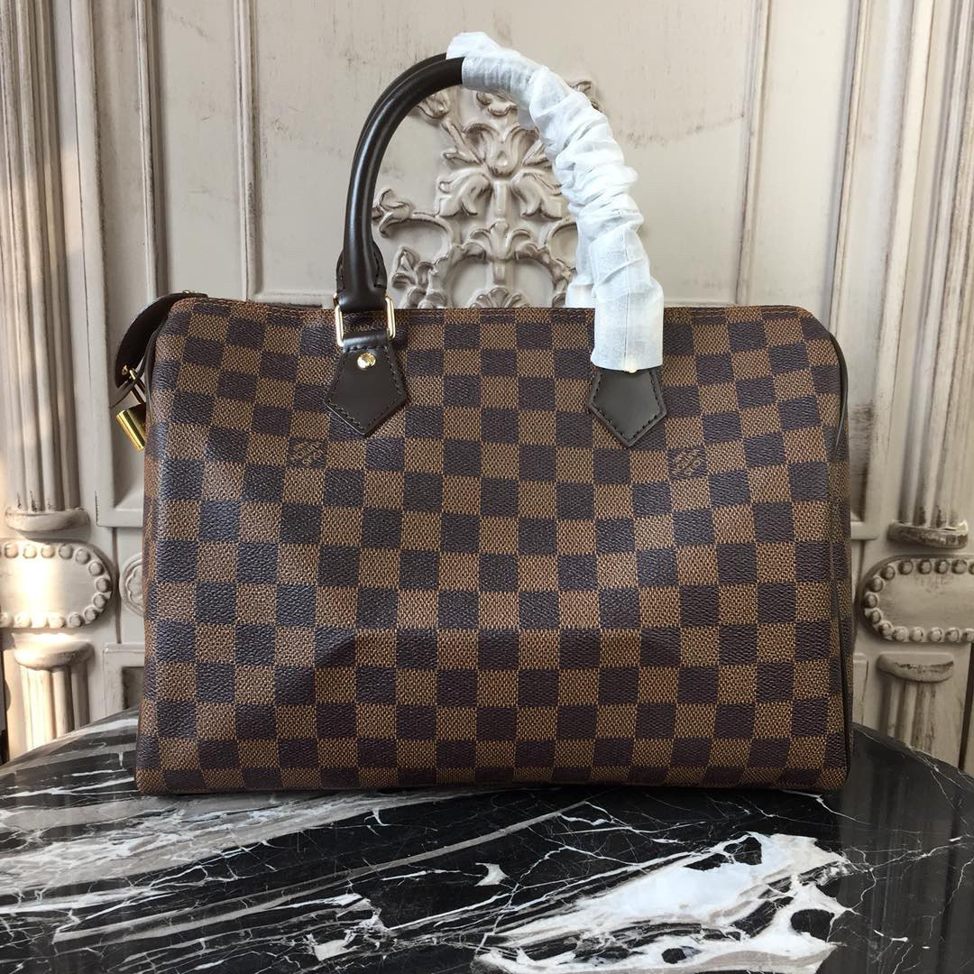 LV Speedy 25 bag in the Damier Ebene coated canvas