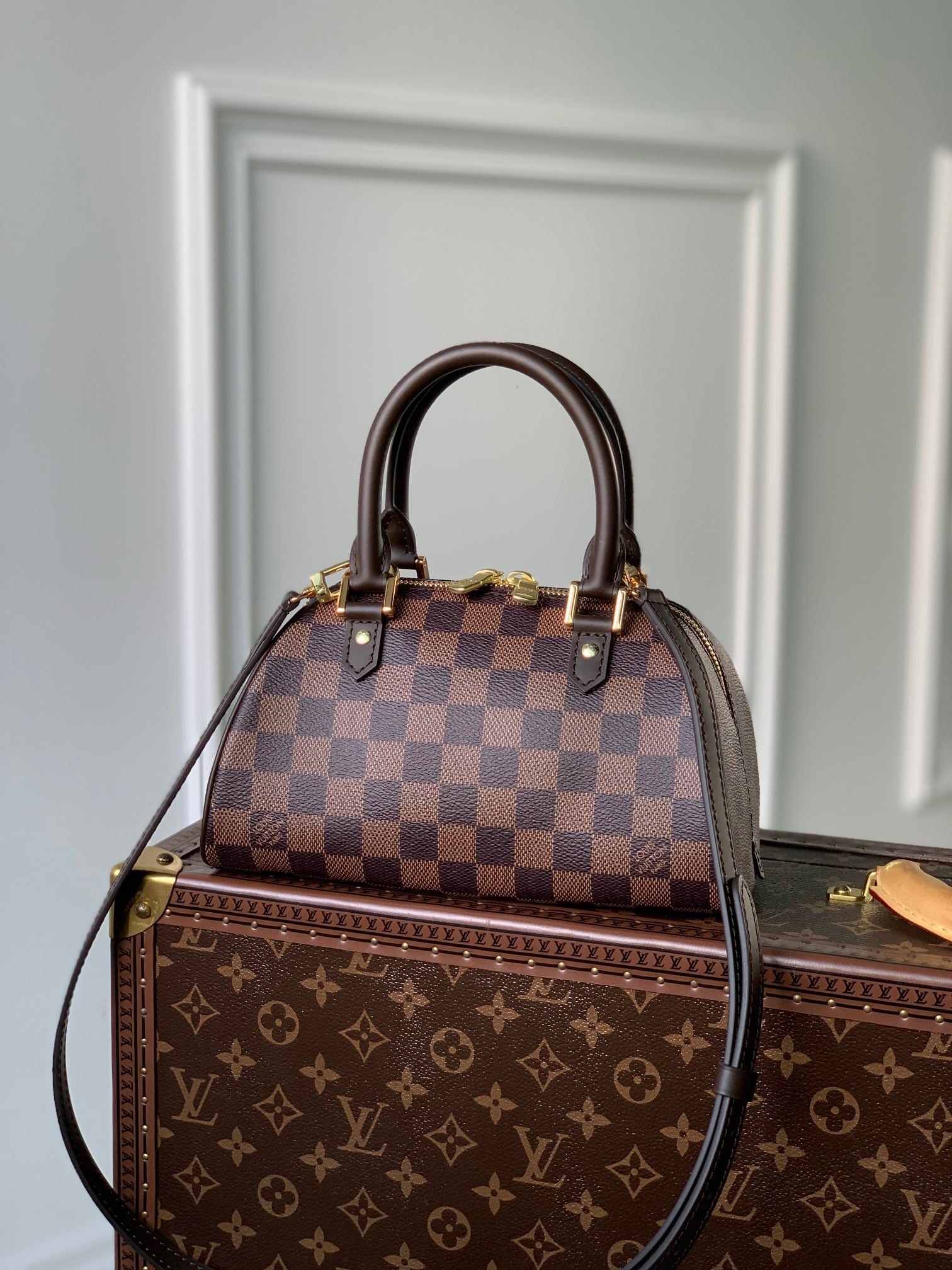 LV Damier Ebene Mini Ribera shoulder bag
