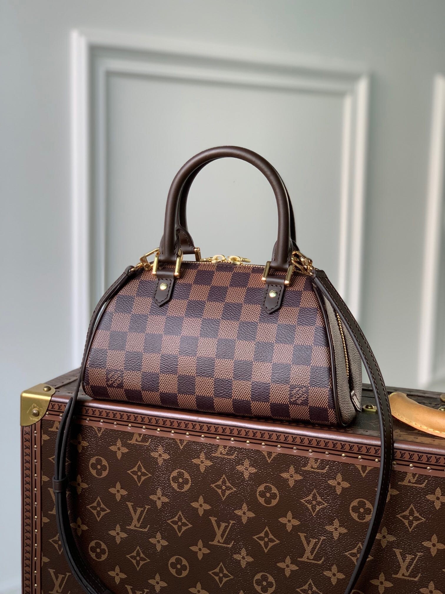 LV Damier Ebene Mini Ribera shoulder bag