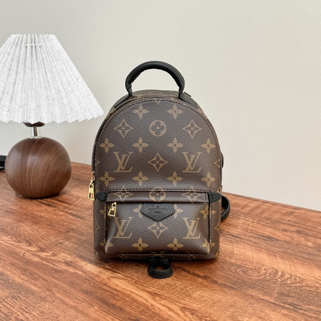 LV Palm Springs Mini backpack in Monogram Canvas