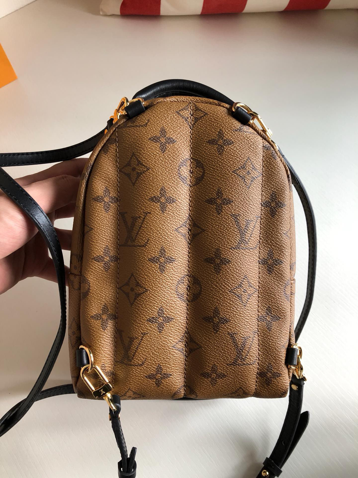 LV Palm Springs Mini backpack in Monogram canvas
