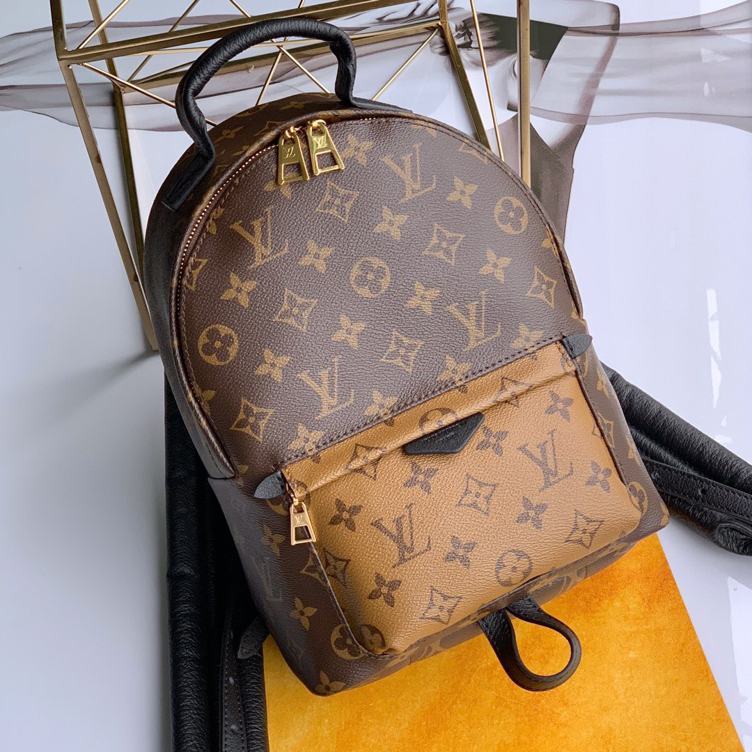 LV Palm Springs PM backpack in Monogram canvas