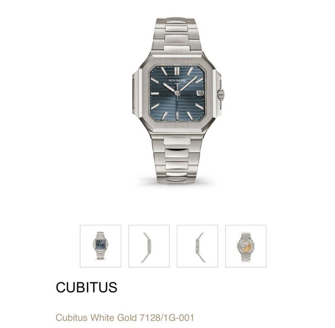 PP0520B - Cubitus 5821 SS/SS Blue/Stk PPF A330 $528