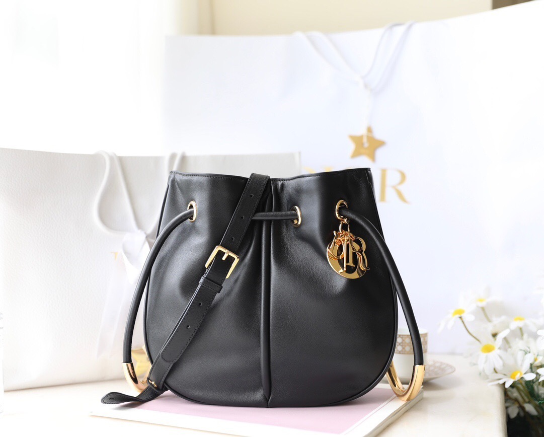 Dior Nolita bag in black calfskin with antique gold-finish metal details bucket bag