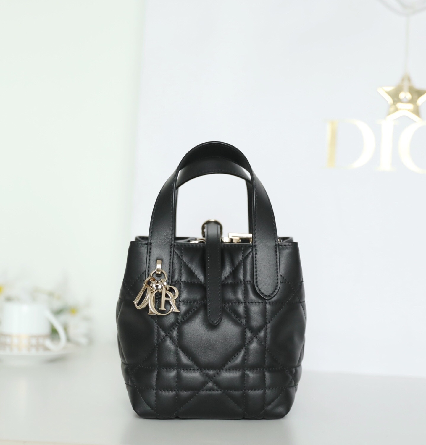 Dior Toujours bag